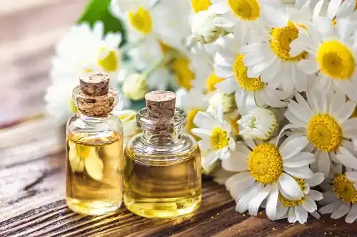 How Chamomile Extract Powder Reduces Inflammation?